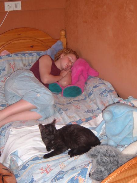 mon chat