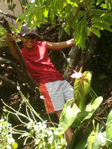 davy