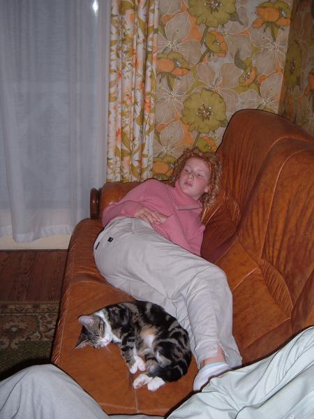 mon chat