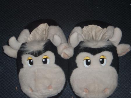 mes chausson